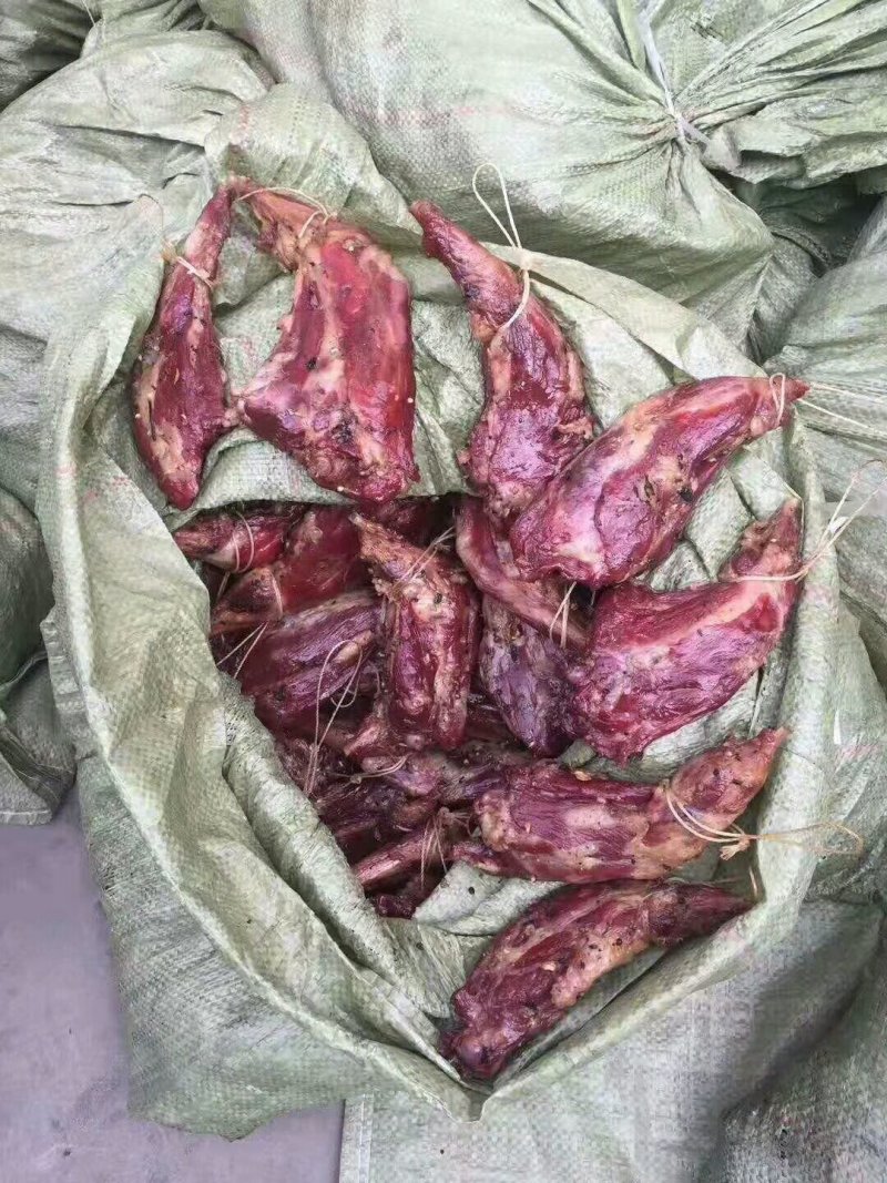 肉兔