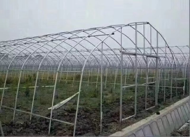 大棚镀锌大棚蔬菜大棚圆管椭圆管方管钢管