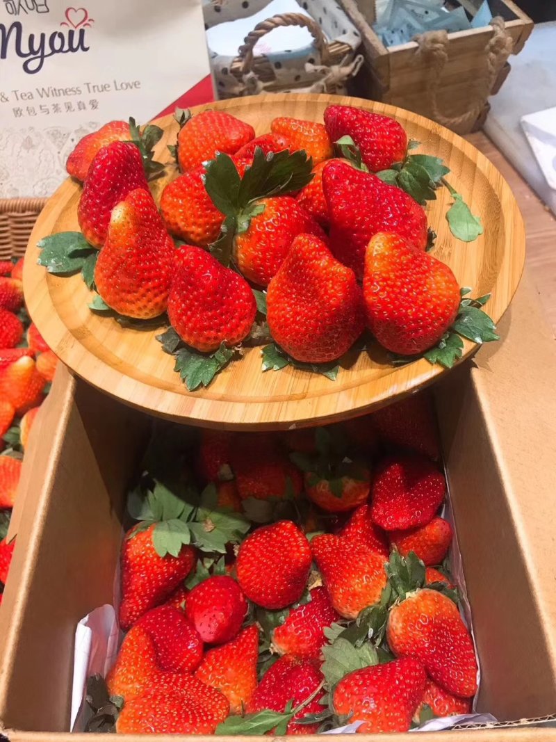 草莓