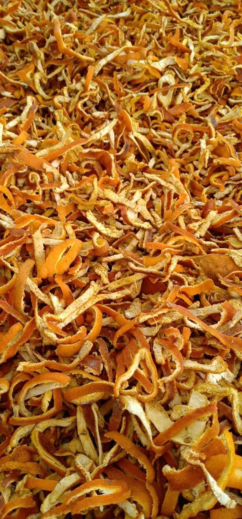 陈皮大货批发零售，新货陈皮颜色好