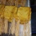 烧烤豆腐