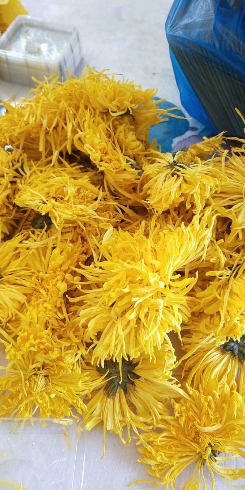 金丝黄菊极品30朵/盒精致简易装