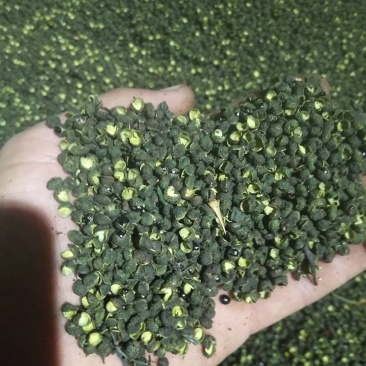 青麻青花椒九叶青