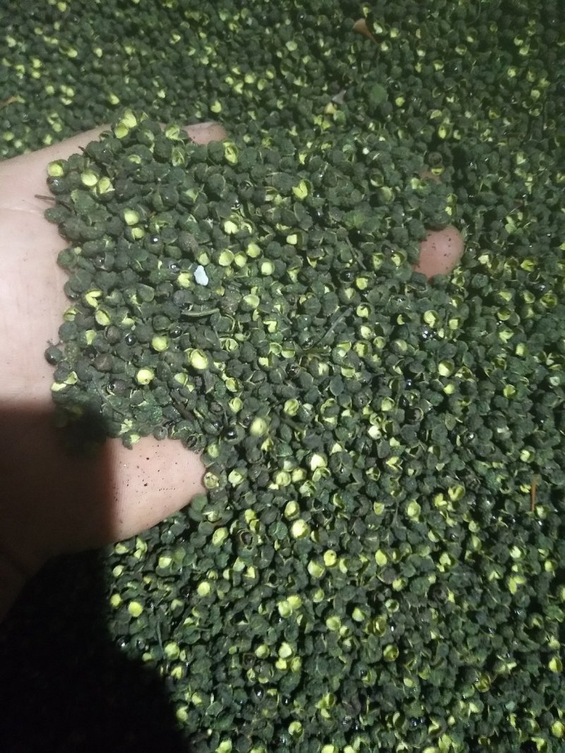 青麻青花椒九叶青