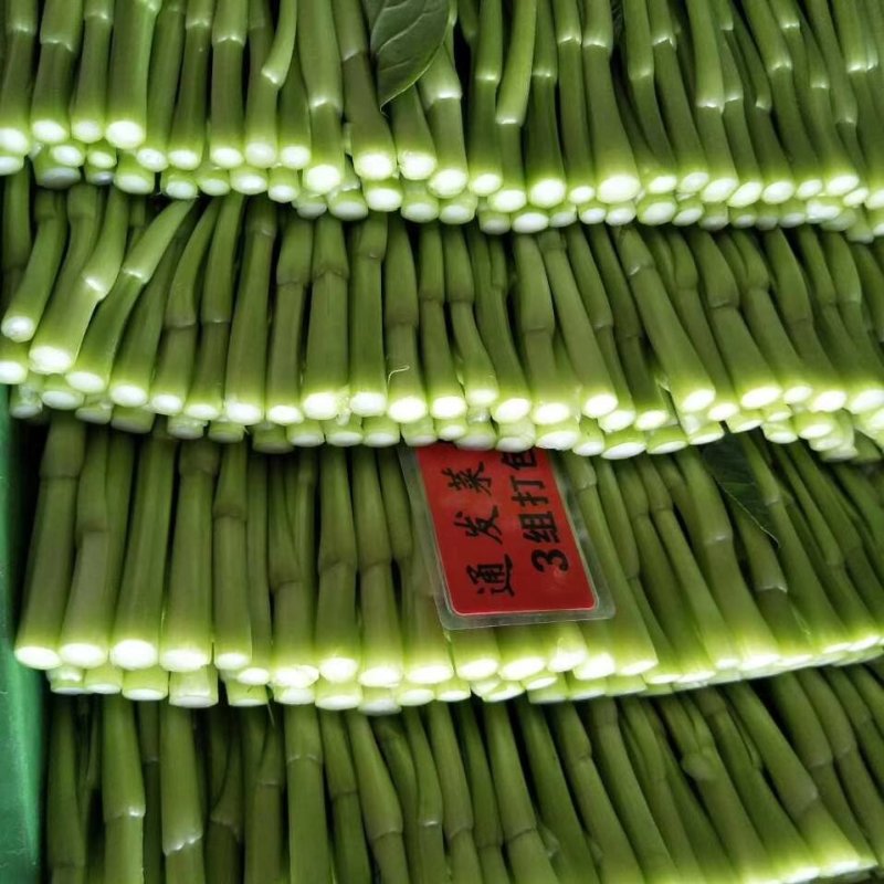 蔬菜