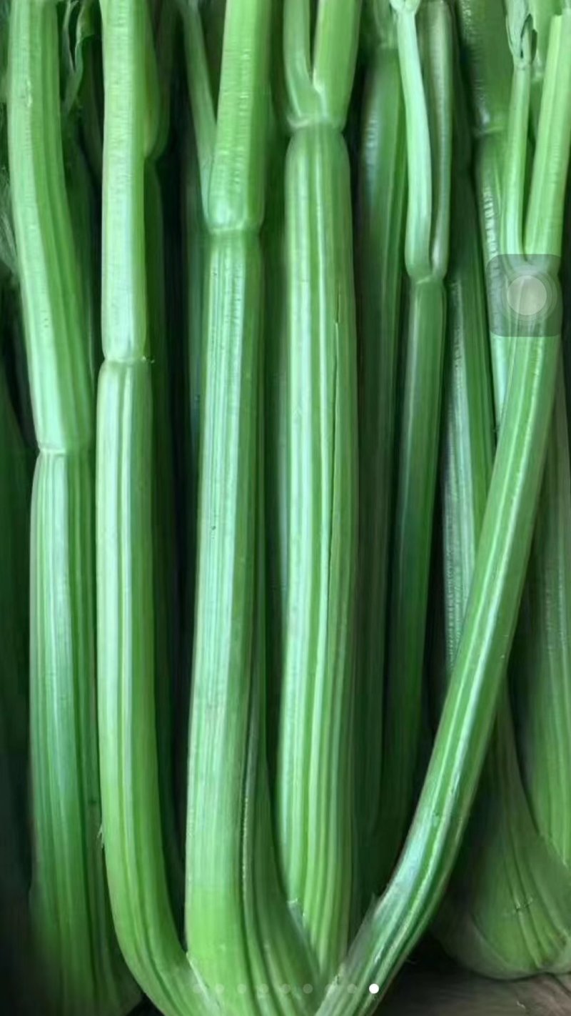 蔬菜
