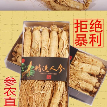 【源头好货】人参无硫熏药厂专用7年25头原皮生晒包邮