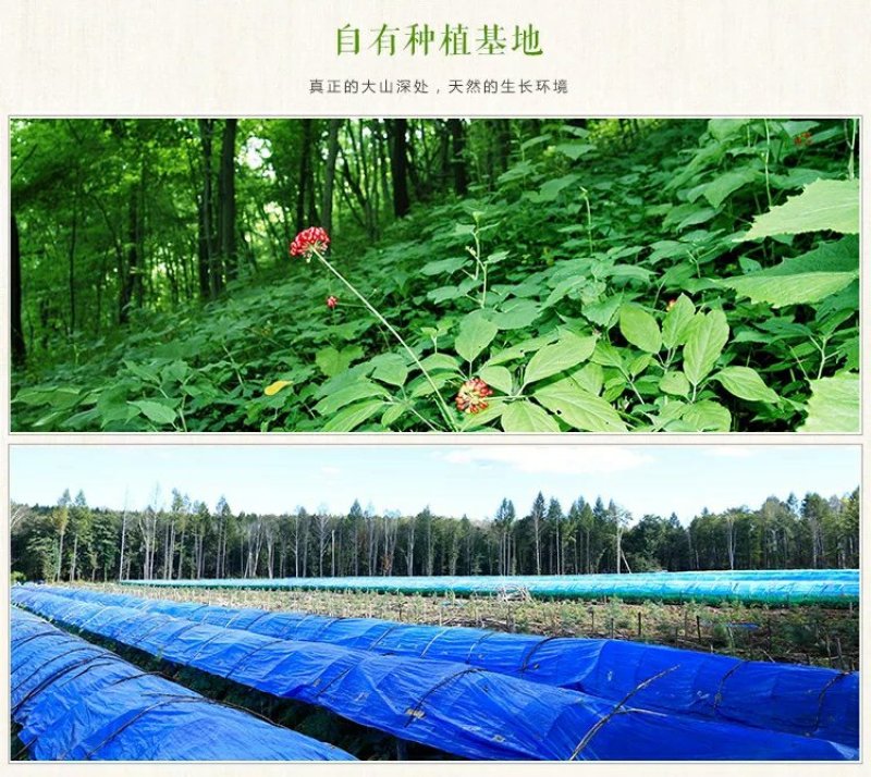 【源头好货】人参无硫熏药厂专用7年25头原皮生晒包邮