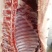 跑山黑猪肉