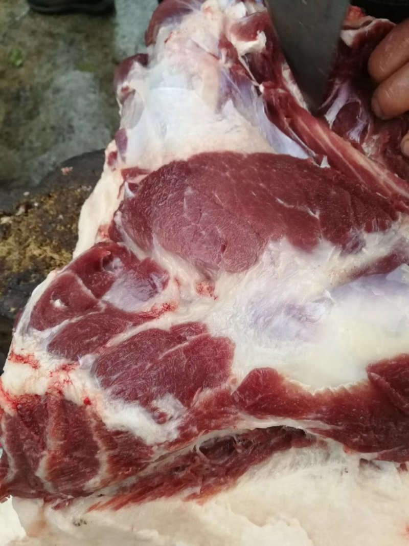 跑山黑猪肉