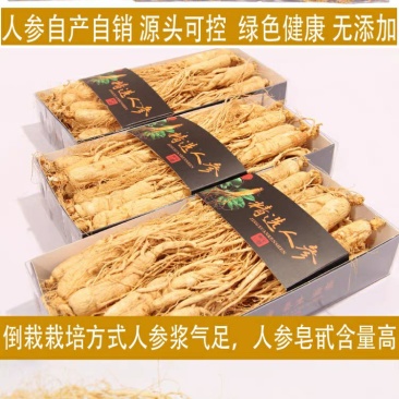 【源头好货】吉林人参原皮生晒特级人参基地无硫熏药原滋原味