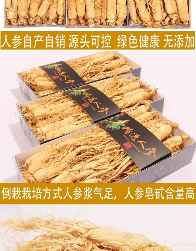 【源头好货】吉林人参原皮生晒特级人参基地无硫熏药原滋原味