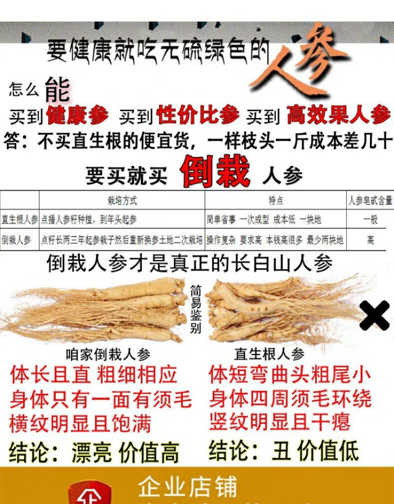【源头好货】吉林人参原皮生晒特级人参基地无硫熏药原滋原味