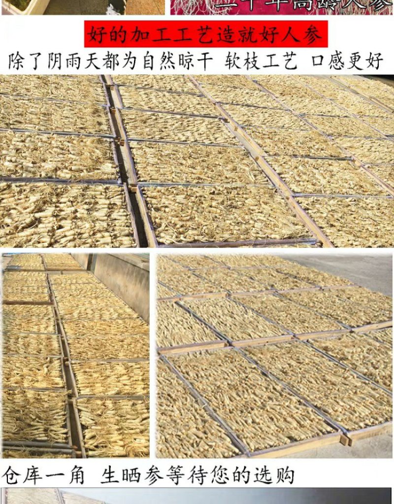 【源头好货】吉林人参原皮生晒特级人参基地无硫熏药原滋原味