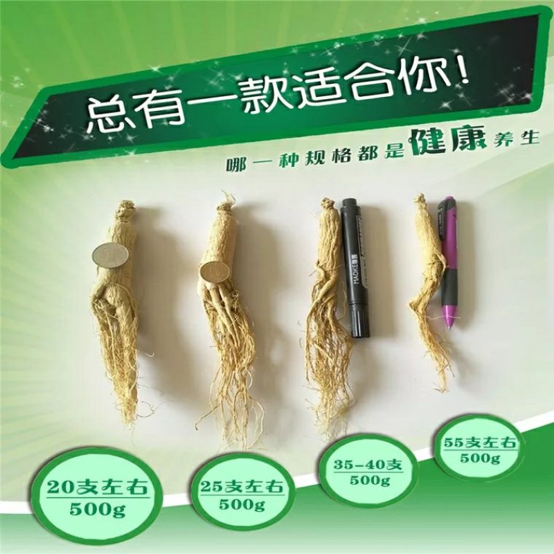 【源头好货】吉林人参原皮生晒特级人参基地无硫熏药原滋原味
