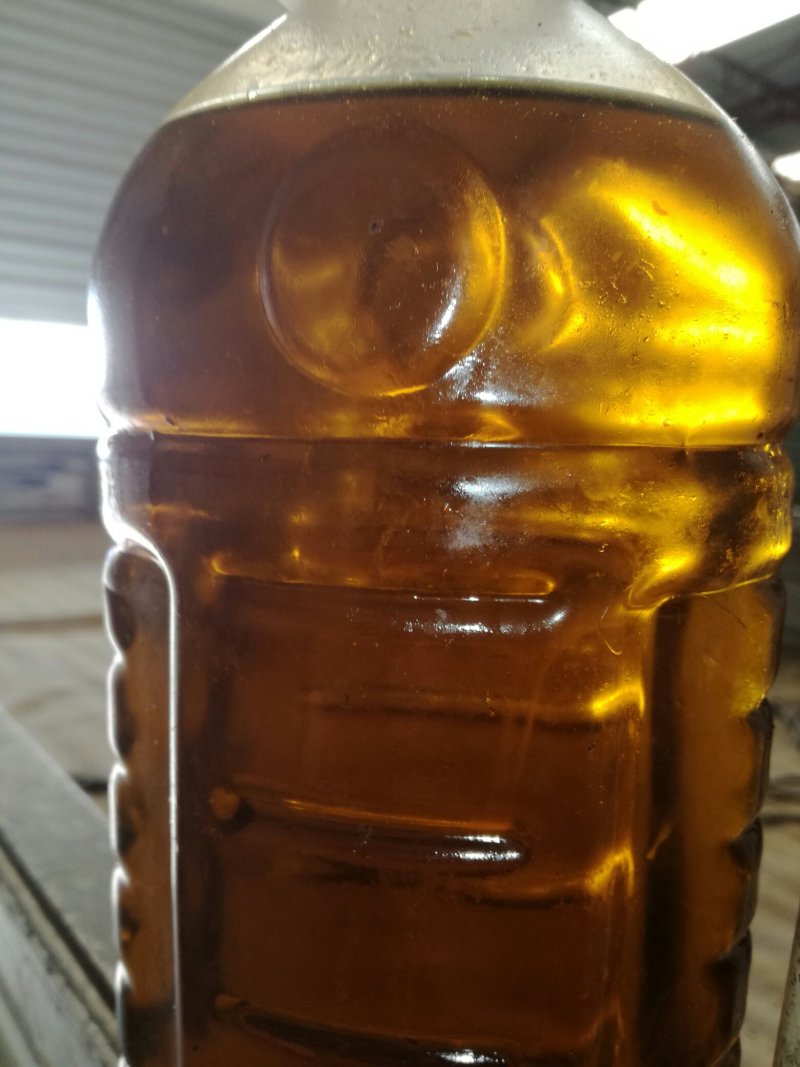 油菜籽