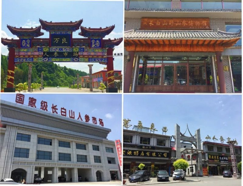 【源头好货】人参特级特大棵原皮生晒参自家基地