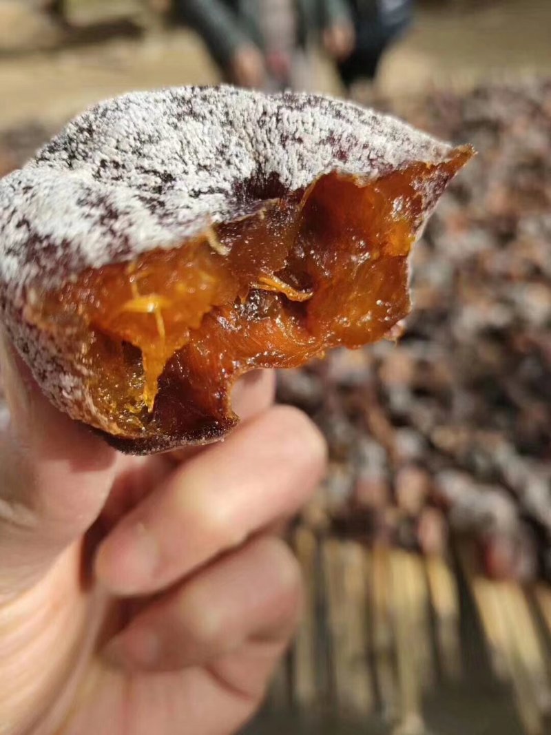 老树柿饼