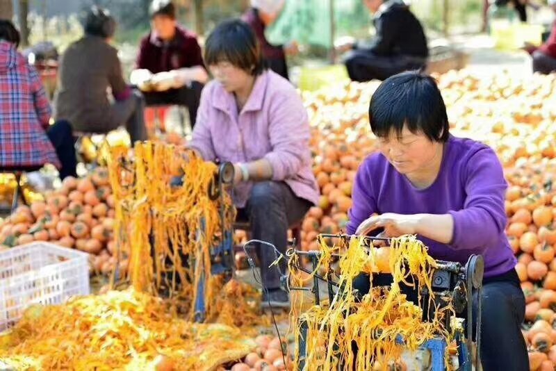 老树柿饼