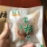 富平柿饼3斤礼盒装