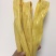 桂平社坡腐竹