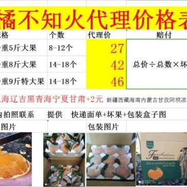 丑橘不知火丑柑桔春见耙耙柑一件代发试吃
