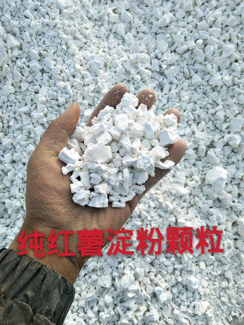 秦皇岛卢龙纯红薯淀粉颗粒，自然风干，架子晾晒，干，白，净