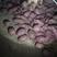 秦皇岛卢龙纯红薯淀粉颗粒，自然风干，架子晾晒，干，白，净