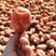 2023年糯甜柿饼大量上市中质量保证农家自制当年吊霜新货
