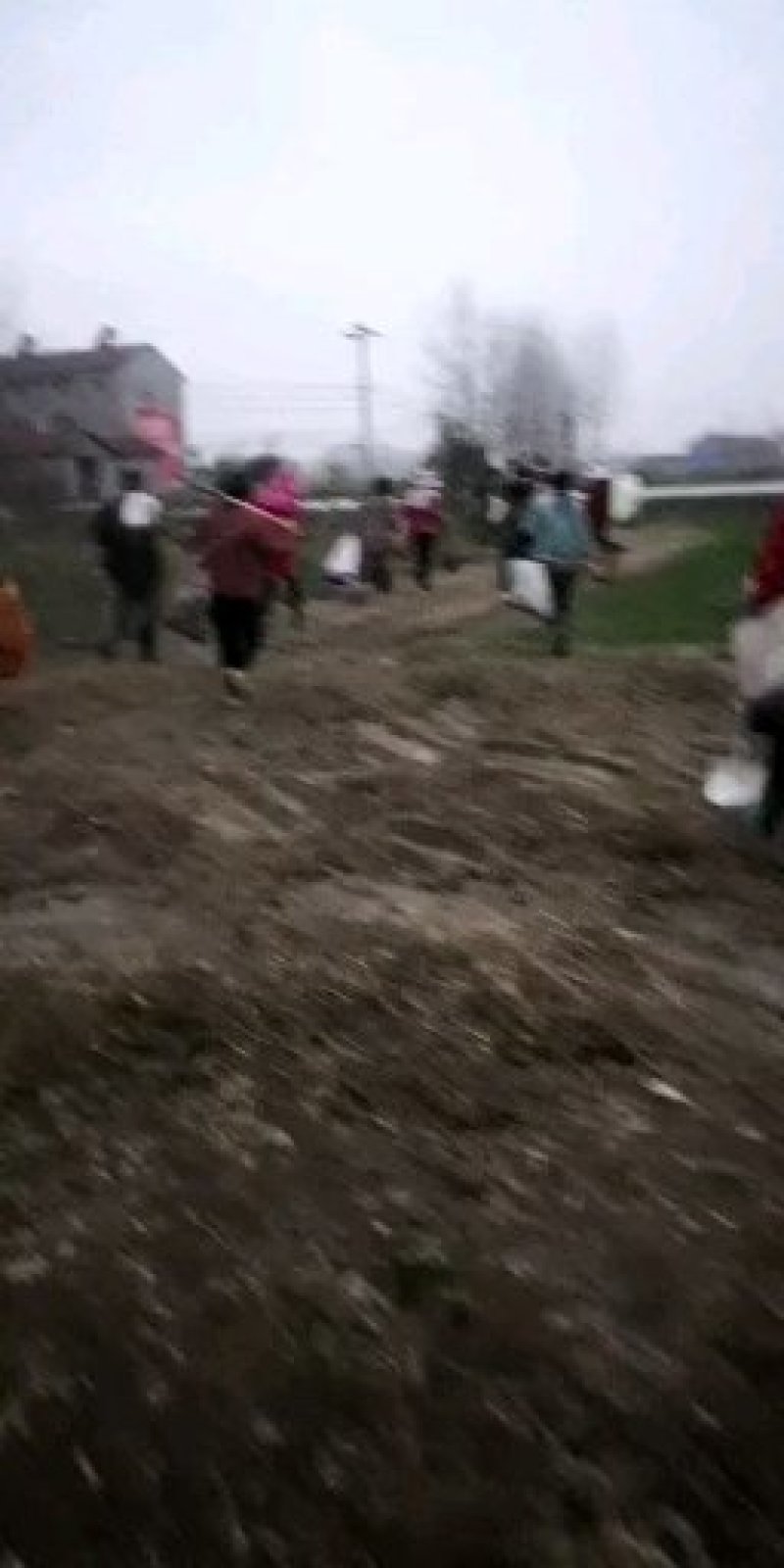 除了大量供应地瓜批发以外我们滴一件代发模式也兴起了呢。大