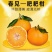 自家果园蒲江春见耙耙柑一件代发批发5斤大果