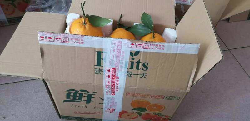 自家果园蒲江春见耙耙柑一件代发批发5斤大果