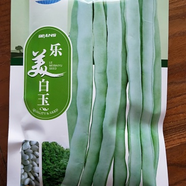 乐美白玉圆扁条四季豆（芸豆）种子图片看货