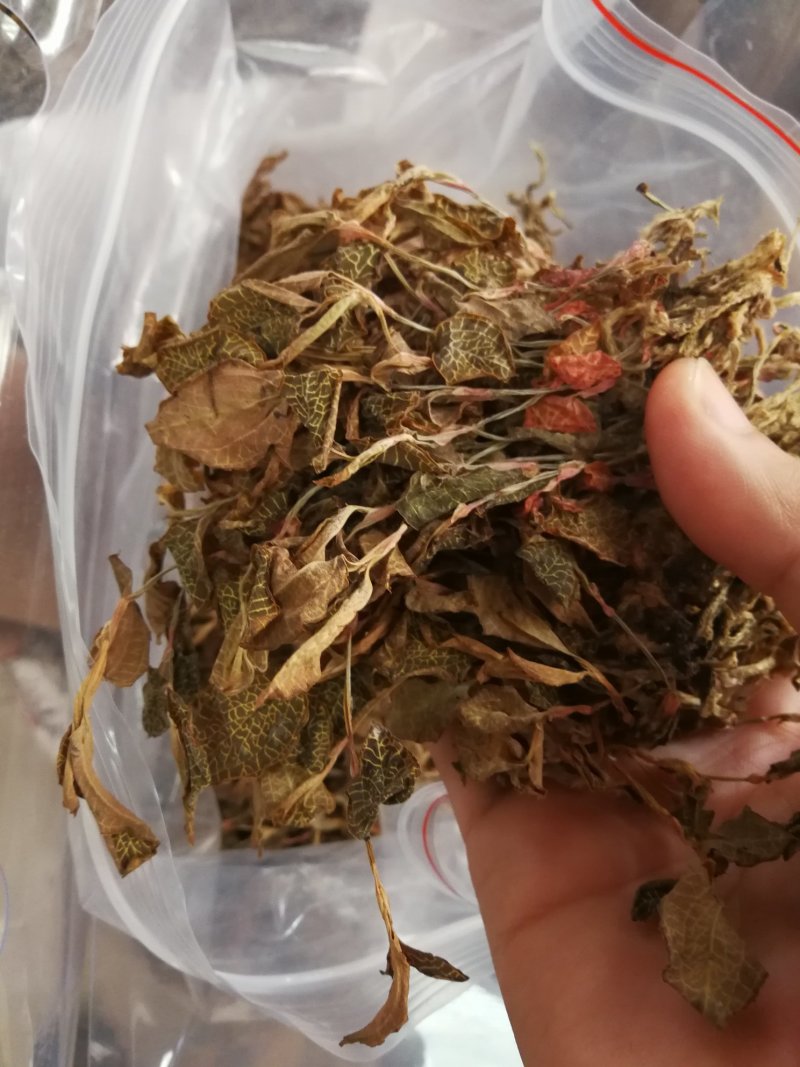 金线莲干品，金线莲干货金线莲可煲汤泡茶