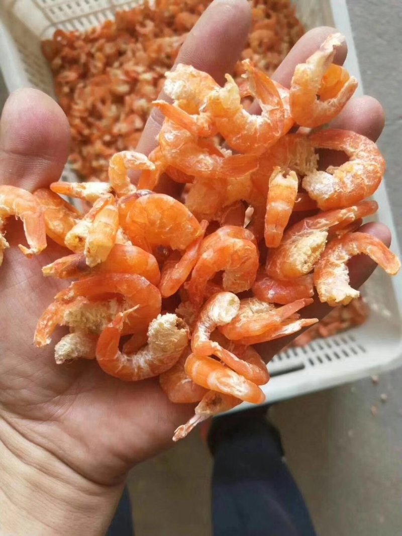 海米