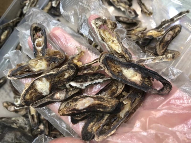 梅花鹿鹿尾40-130克之间纯干净尾