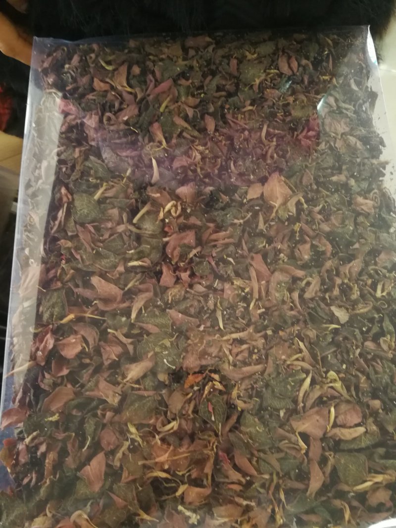 金线莲干品，金线莲干货金线莲可煲汤泡茶