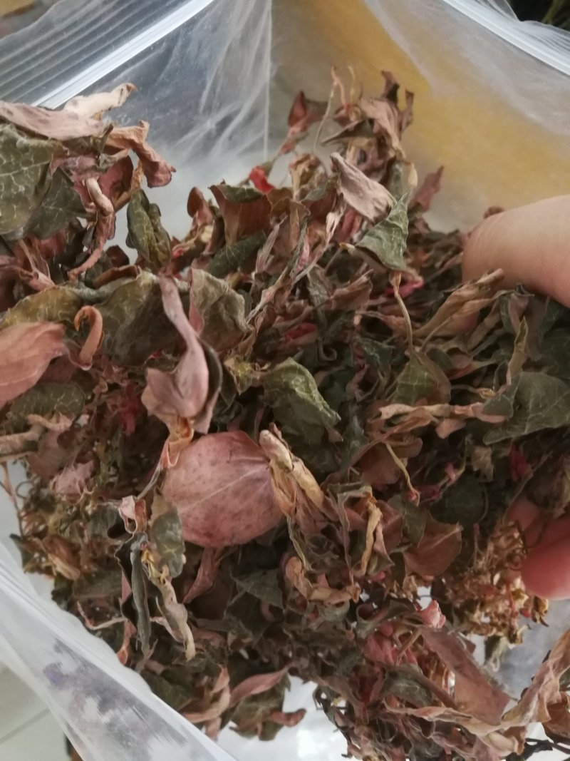 金线莲干品，金线莲干货金线莲可煲汤泡茶