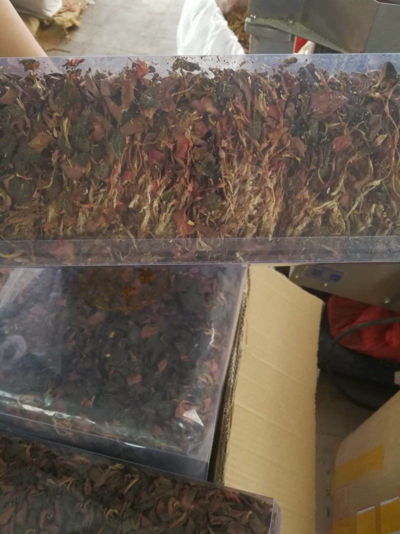 金线莲干品，金线莲干货金线莲可煲汤泡茶
