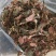 金线莲干品，金线莲干货金线莲可煲汤泡茶