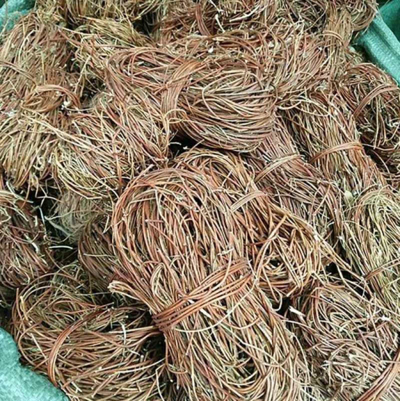 鸡骨草供应种子包回收