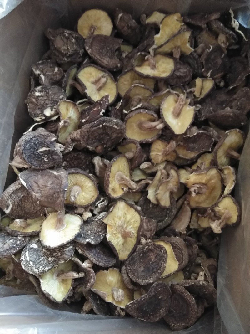 天然树子香菇