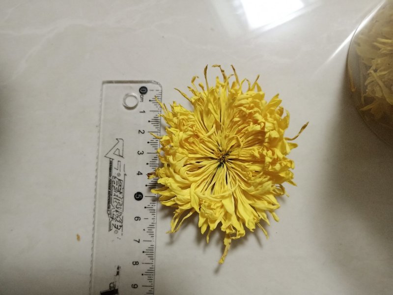 金丝黄菊