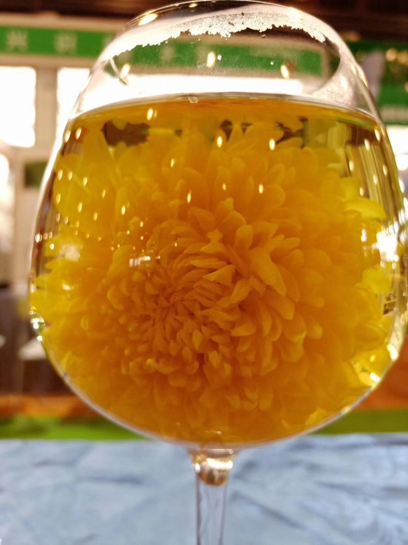 金丝黄菊