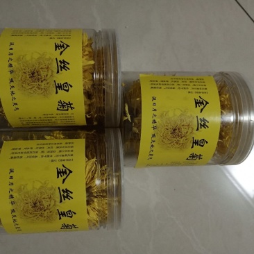 金丝黄菊