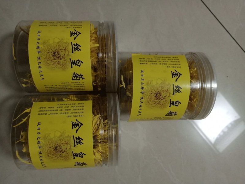 金丝黄菊