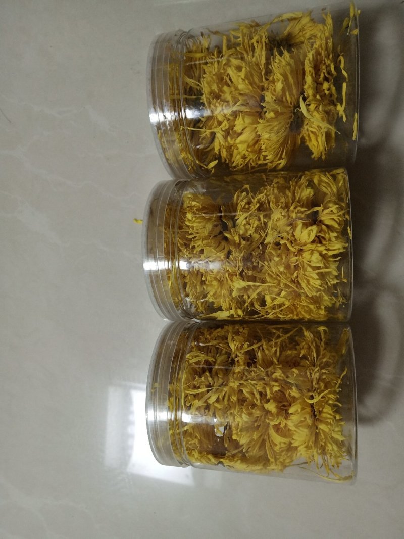 金丝黄菊