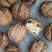 纸皮核桃，12/斤！50斤以上包邮，50斤以下13元包邮