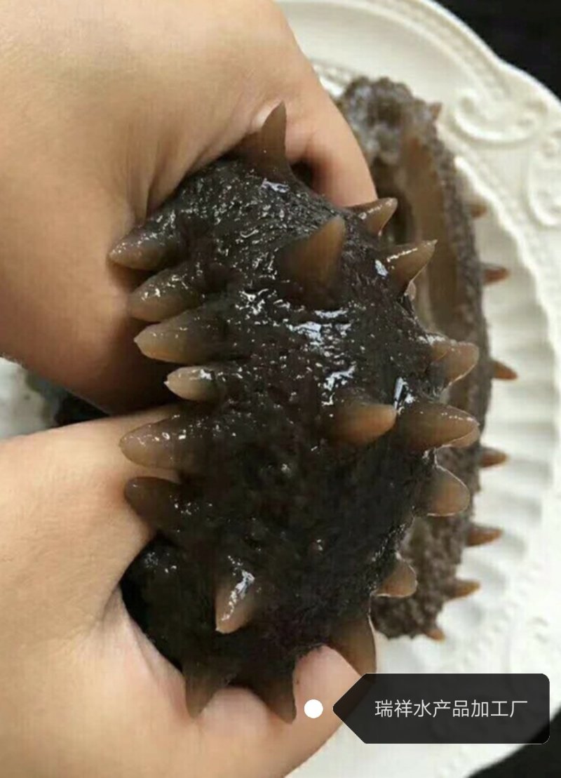 大连即食海参，即食海叁，大连海叁，即食辽参