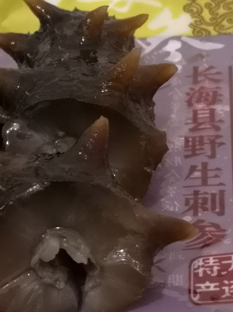 大连即食海参，即食海叁，大连海叁，即食辽参